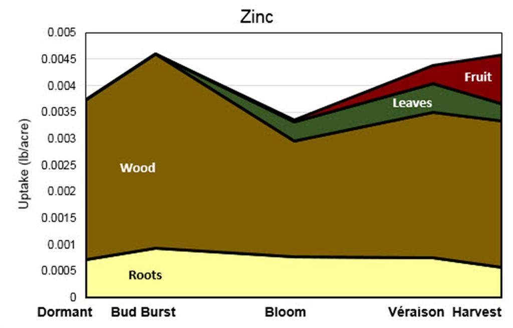 Figure 12. Timing and placement of zinc uptake by vines. Image modified from Pradubsuk and Davenport 2010 (Concord), and follows similar trends as to those presented by Schreiner et al.