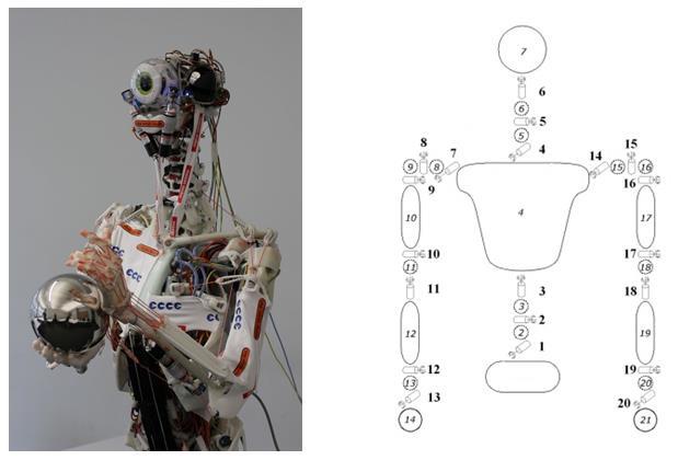 Novel Robotic Solutions Humanoid robots with