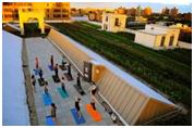 ROOFTOP YOGA: SPRING/SUMMER/FALL Stretch it out amongst the sunflowers during a private yoga session on the farm.