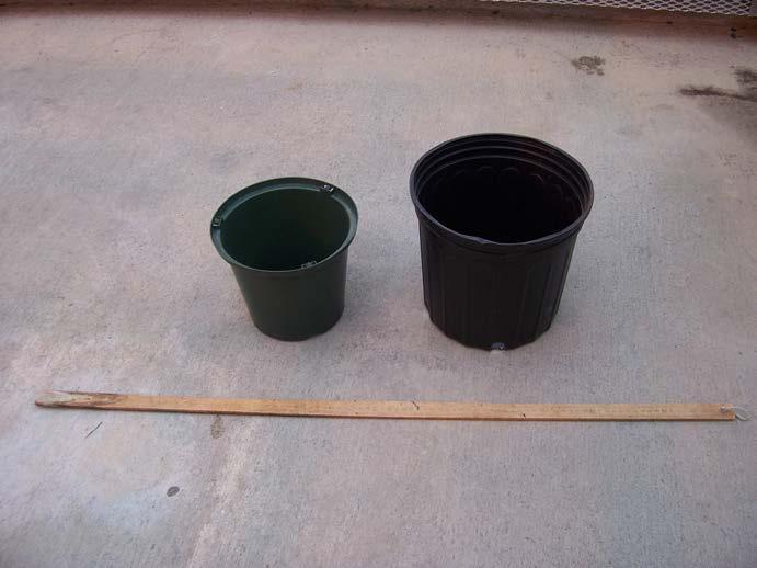 Figure 1. Left: 20- cm diameter pot with volume of 3.