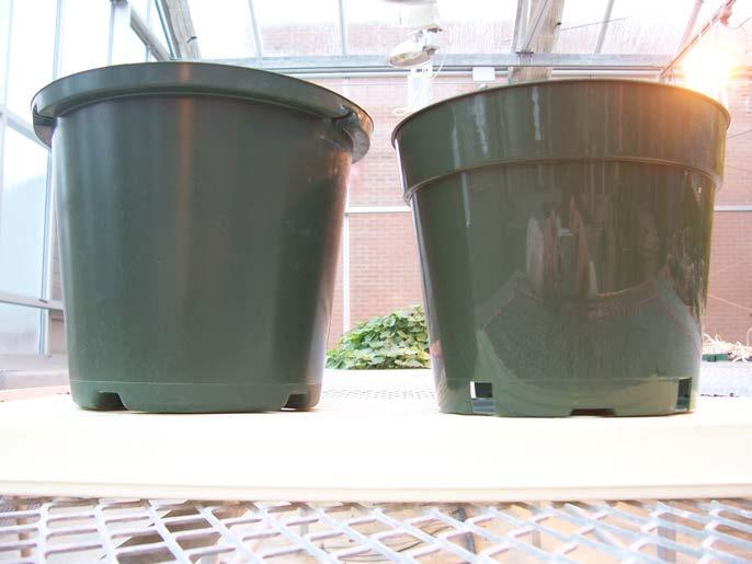 Right: Optimum 8.3- liter (2.2 gal.) nursery pot. Figure 2.