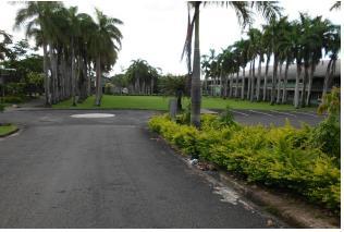 Figure 1 Vanua Drive Roundabout and Grounds between Library and Administration Building Earthquake / Tsunami Evacuation Routes & Sites for ICT Theatre In the event of a
