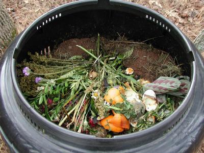 COMPOST DEFINED Composting is the managed