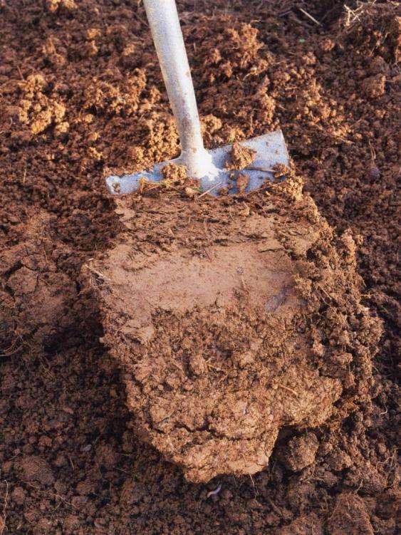 Adding Compost to Soil Improves number and distribution of large and small pores in soil structure Increases infiltration Improves drainage