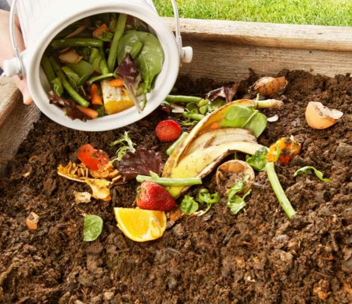 What do you need to make compost?