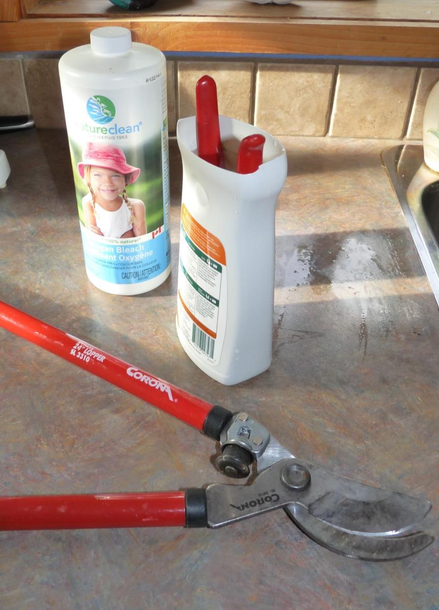 Sanitation Wipe pruners with rubbing alcohol or dip in bleach solution (1:9 hydrogen peroxide or chlorine