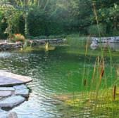 Swimming pools & ponds Swimming pools Natural