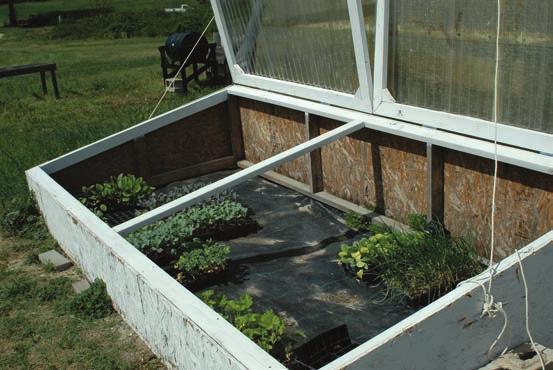 A B C Figure 6. Types of cold frames. (A) Wooden structure with a clear roof that allows sunlight to enter on cold days and can be removed on warm days.