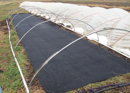 Row cover and/ or plastic can be added at night for protection from frost and freezing temperatures. Otherwise, traditional greenhouses can be easily designed for vegetable production.