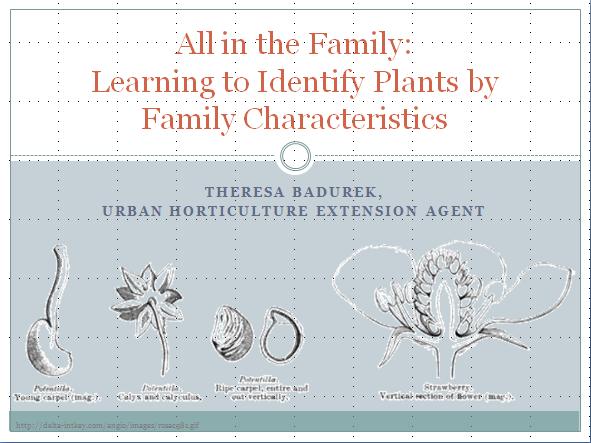 Advanced Plant ID Learning common plant family characteristics to aid ID Focused on 10 common families