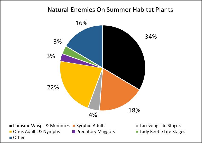 Results Natural Enemies Attracted to Habitat Plantings Over 2,160 aphid natural enemy individuals
