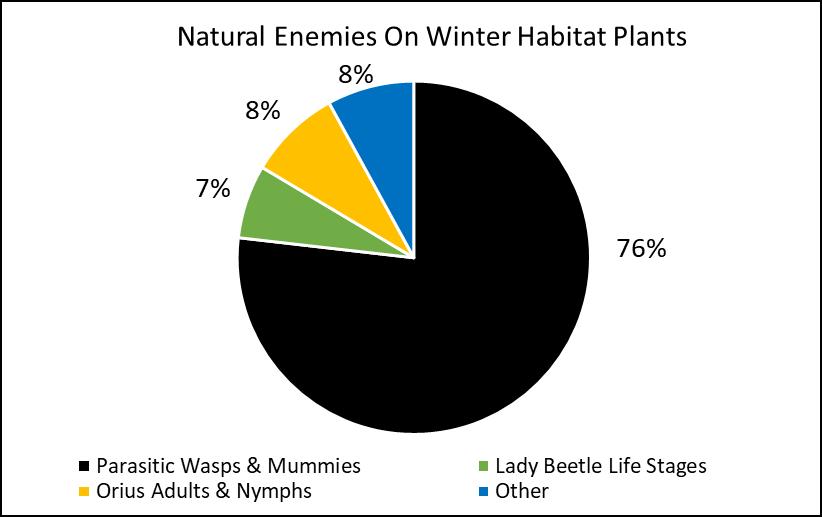 75 per habitat planting over the experiment duration Over 400 in winter averaging 5.