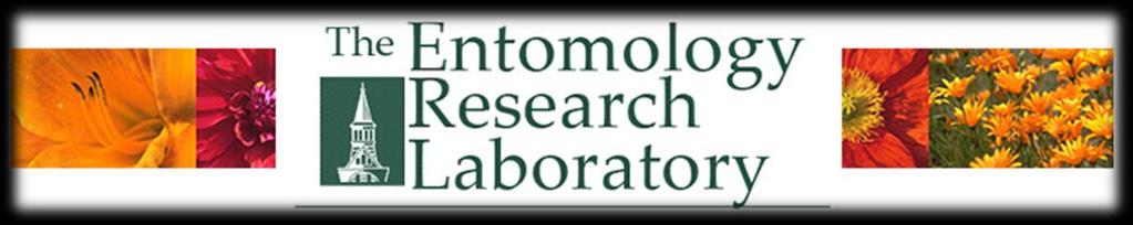 About Us & Topic Outline Entomology Research Laboratory Small team of senior scientists,