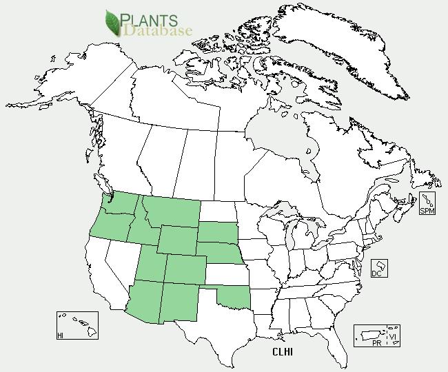 Geographical distribution across North America and Washington