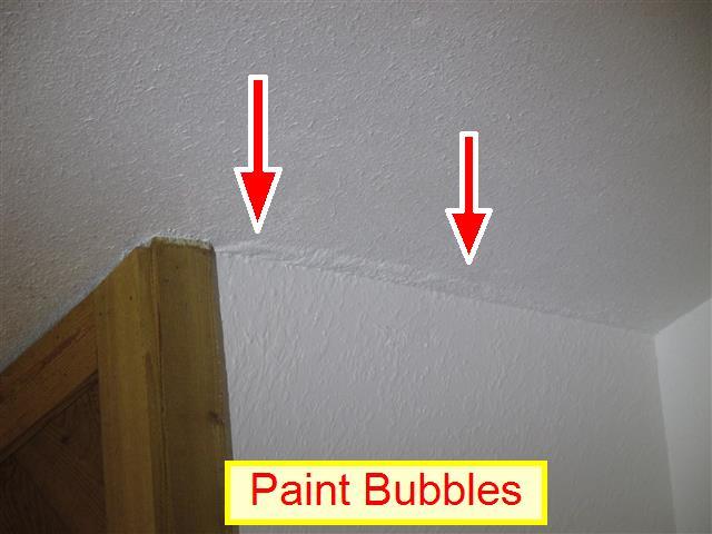 Ceiling Materials: Drywall Interior Doors: Hollow core Wood 3.