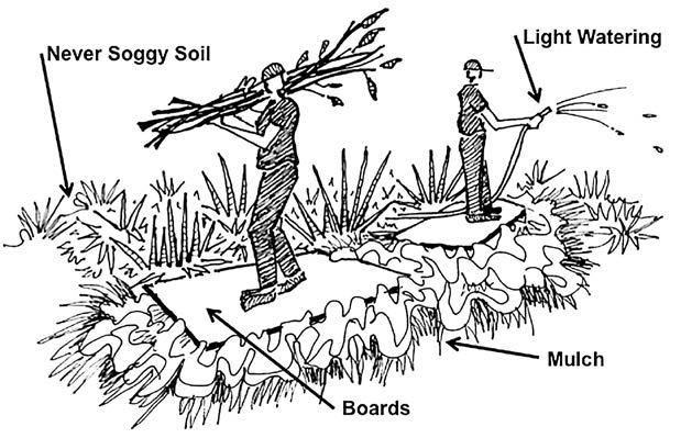 156 California Friendly Maintenance: Your Field Guide Protect Ecological Health Everything coexists in a garden bacteria and bugs, plants and animals everything, including us.