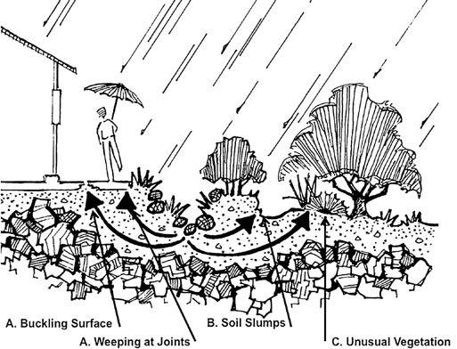 188 California Friendly Maintenance: Your Field Guide French Drains/Infiltration Trenches/Recharge Trenches: These three types of infiltration drains are long, fabric-lined trenches filled with