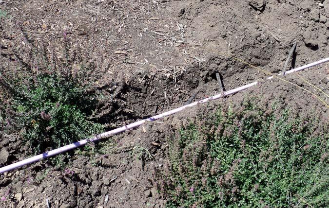 24 California Friendly Maintenance: Your Field Guide Watering Device The next step in determining valve run times is finding out how much water your existing system delivers.