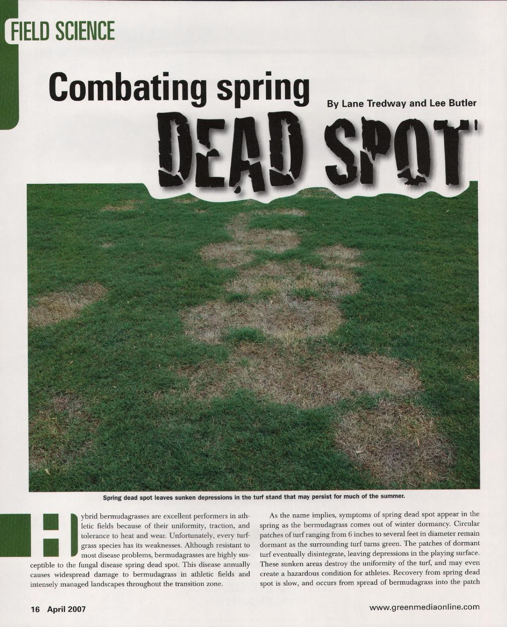Combating spring By Lane Tredway and Lee Butler Spring dead spot leaves sunken depressions in the turf stand that may persist for much of the summer.