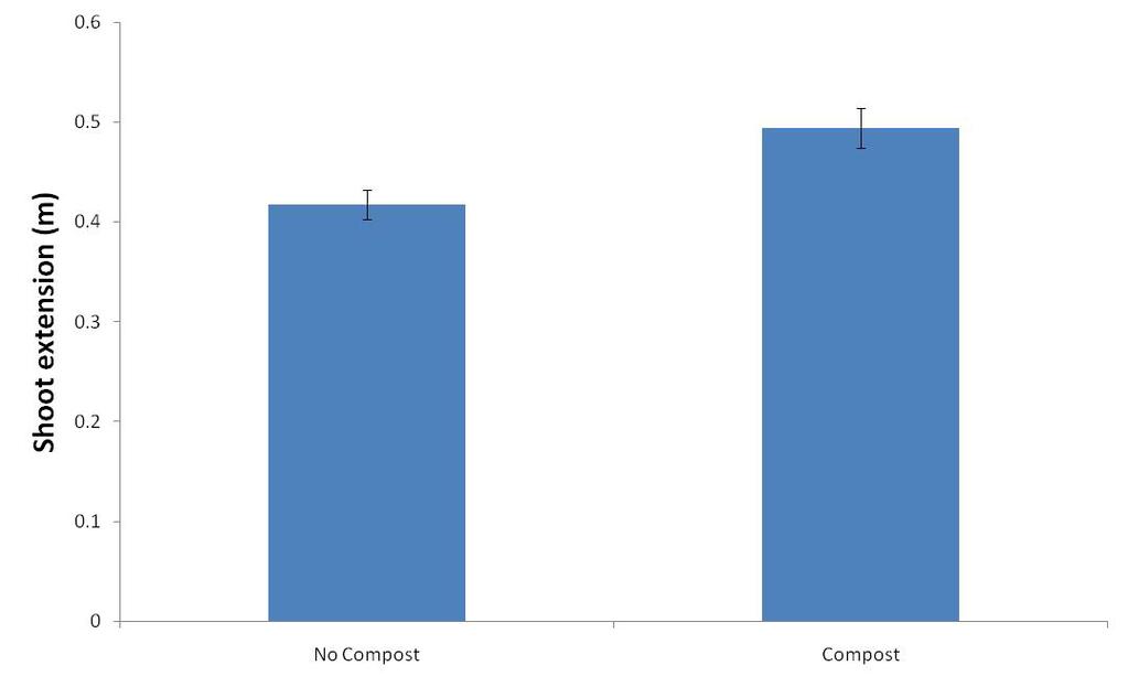 Figure 10. The effect of compost on new shoot growth of Braeburn in 2010.