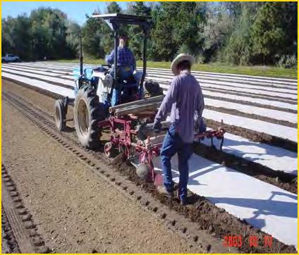 Frost Fabric Final layer of seedbed protection Significant protection