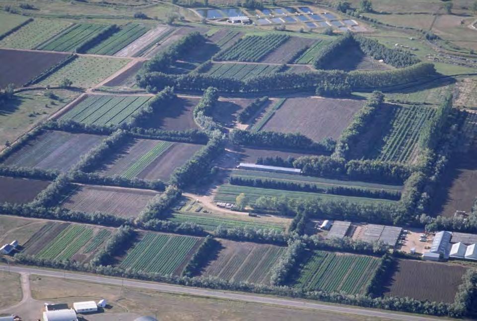 CSFS Nursery 130 acre farm 80 acres tillable for field production 18,000 square feet of