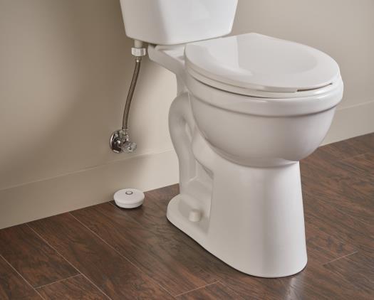 of bowl hissing noise Purchase a leak detection system Perform a leak test using a toilet tablet or