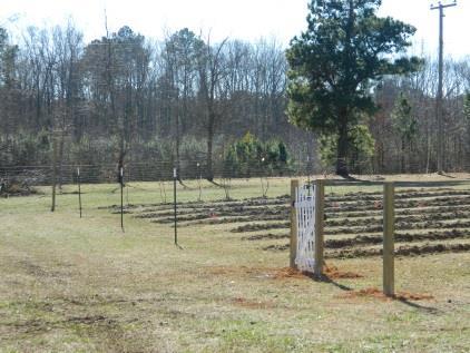 Hope to have final approval shortly. We have installed all metal fence posts for the U-Pick Orchard.