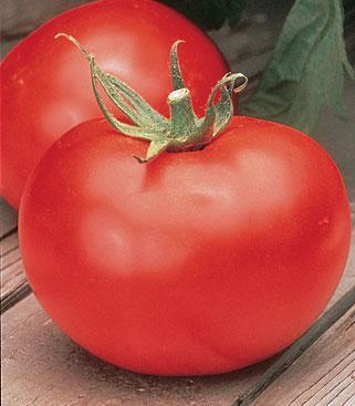 Heirloom vs. Hybrid Hybrid Productivity - harvest more tomatoes.