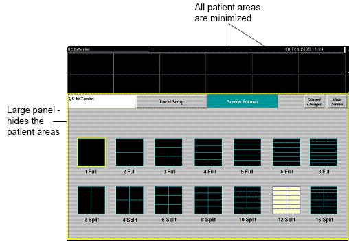 Using the Multi-Bed Screen 82BScreen Display When you open a large panel that expands across the screen, all patient areas are hidden.