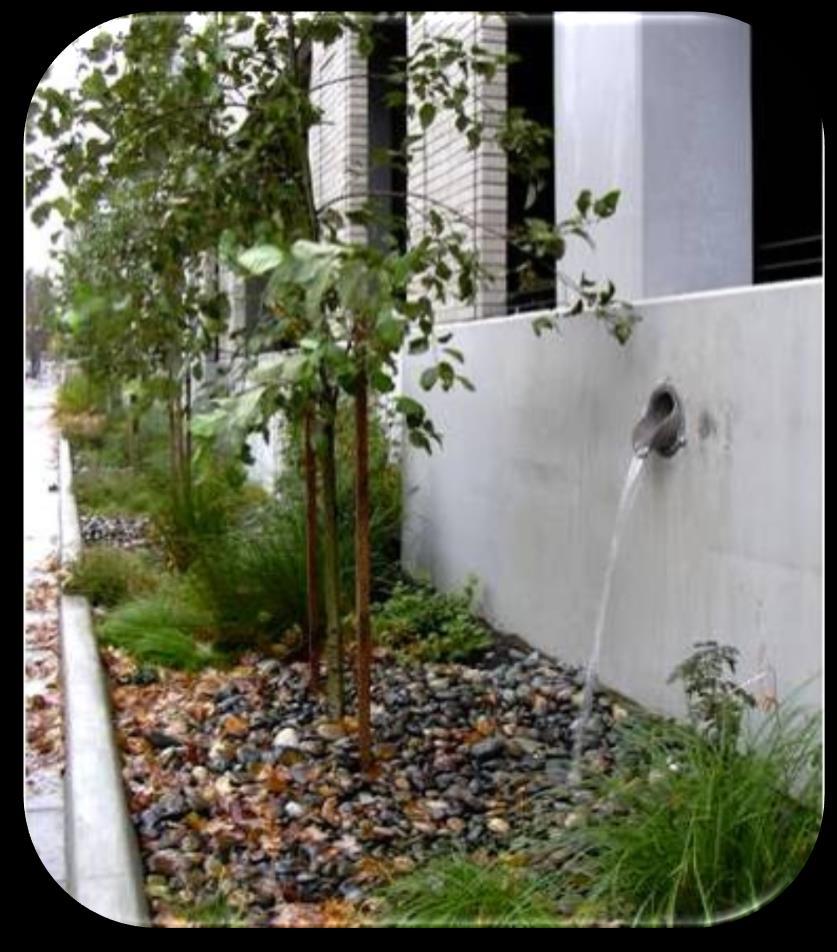 Downspout Disconnection The process of redirecting roof runoff away from traditional storm sewer collection systems to rain gardens, bioswales, planter boxes and other GI