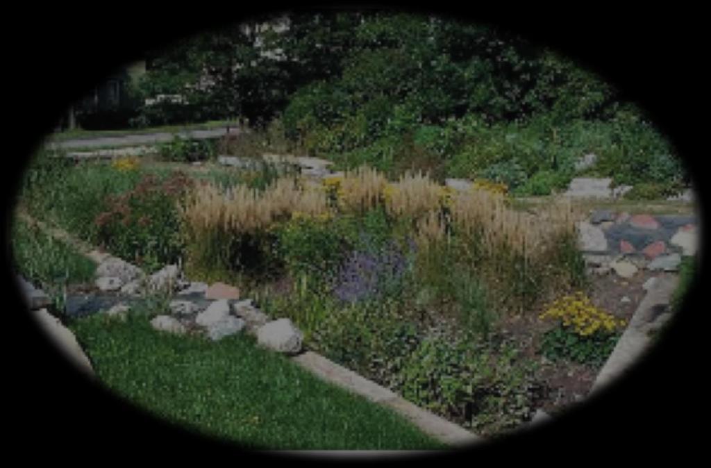 Bioretention or Rain Gardens Typically constructed with high-permeability media