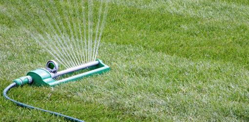 HOW TO WATER ESTABLISHED TREES AND Overhead sprinklers