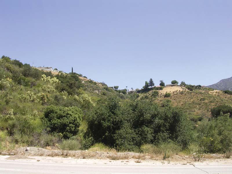 View 10: View looking north from La Tuna Canyon Road near the western end of the project site. This portion of the project site consists of undeveloped hillside slopes.