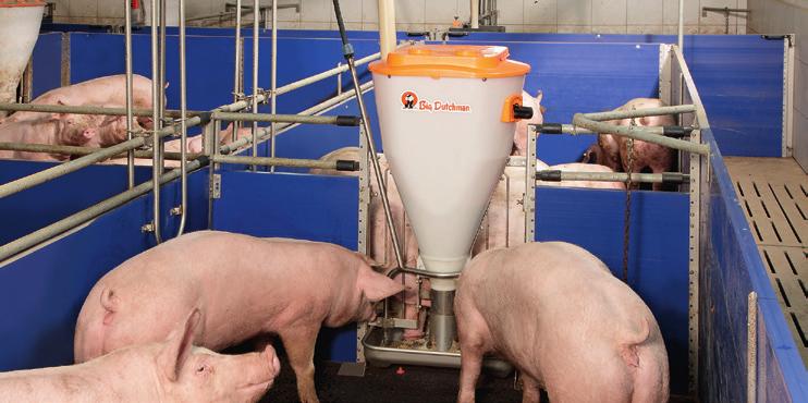 feeding systems (DryExactpro) Use of volume dispensers for individual feeding of sows in stalls CallMatic 2 for pregnant sows in group management Supply of PigNic-Jumbo feeders by means of