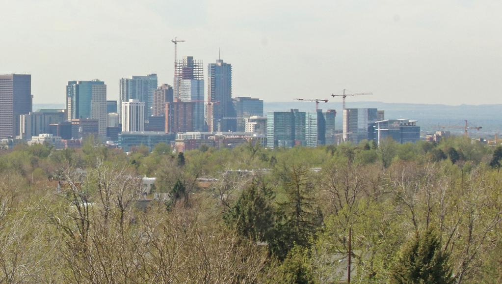 Draft for Public Review THREATENED URBAN FOREST Denver s urban tree canopy is one of the lowest in ranked cities and every 1 in 6 trees are threatened by the Emerald Ash Borer.