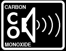 SECTION 1 SAFETY PRECAUTIONS CARBON MONOXIDE ALARM If your coach is equipped with a carbon monoxide (CO) alarm, it will be located on the ceiling in the bedroom area.