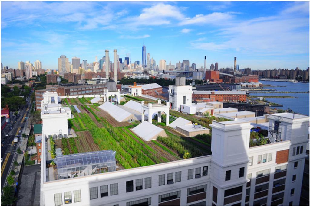 Y.-H. Hsieh, et al., Int. J. of Design & Nature and Ecodynamics. Vol. 12, No. 4 (2017) 449 example, it becomes more feasible to secure food provision through cultivating on urban rooftops.