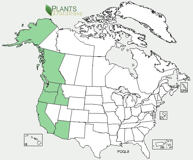 Plant Propagation Protocol for Polypodium glycyrrhiza ESRM 412 Native Plant Production Spring 2011 North America Distribution Map Washington State Distribution Map Source: USDA PLANTS Database 8