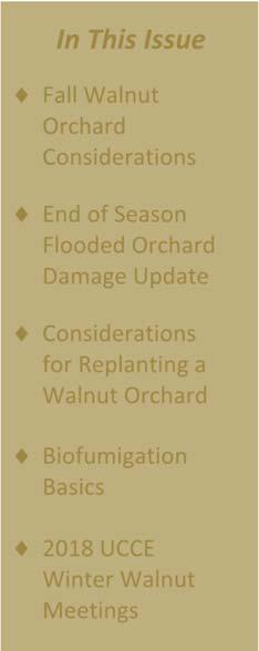 Sacramento Valley Walnut News Issue 30 Late Summer/Fall, 2017 In This Issue Fall Walnut Orchard Considerations End of Season Flooded Orchard Damage Update Considerations for Replanting a Walnut