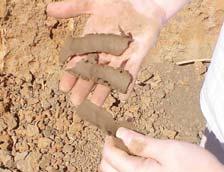 clay loam, or sandy clay loam Greater than 2 silty clay, clay, or