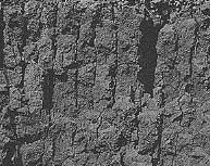 Commonly found in lower subsoil.