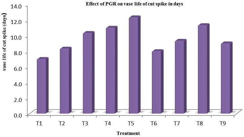 Effect of PGR on vase life