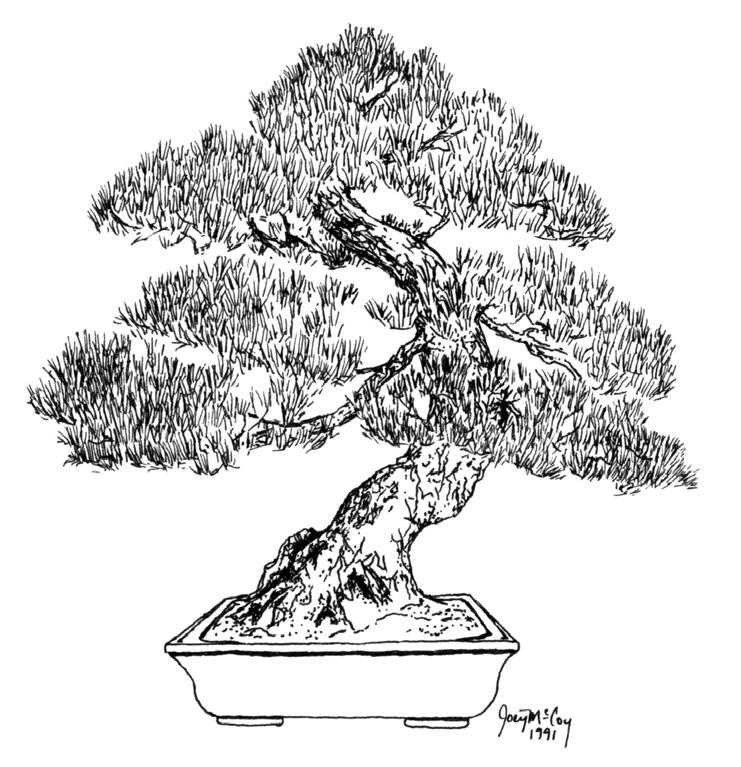 B O N S A I N O T E B O O K Austin Bonsai Society P.O. Box 340474 Austin, Texas 78734 The Austin Bonsai Society is a nonprofit organization which exists to help in providing guidance and education