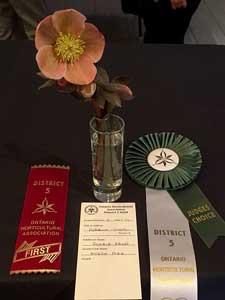The Best in Show Decorative was won by Diane Wilton with her contemporary design representing
