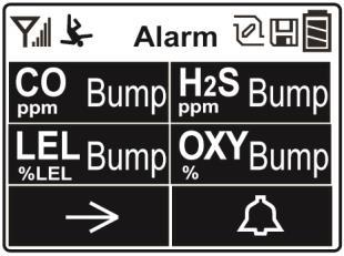6.6. Bump Status If one or more sensors requires a bump test, then the screen displays the word Alarm at the top and alternates between the sensor reading and the word Bump with a highlighted