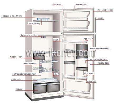 The condenser is the thin coil of copper tubing situated at the back of the refrigerator.
