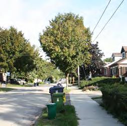 Encourage applicants to preserve existing mature trees, private and City-owned,