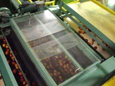 Fumigators -Dusters - Paper wraps - Box liners Application of postharvest