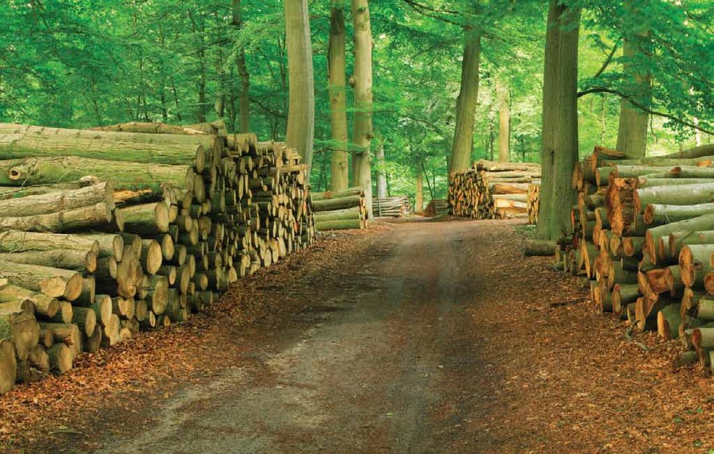 Quality Wayne-Dalton controls the quality of the wood right from the beginning by hand picking the finest material in its earliest forms.